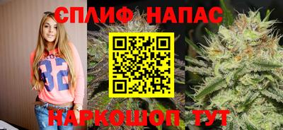 дживик Вышний Волочёк