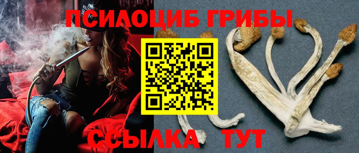 Галлюциногенные грибы Cubensis Канаш