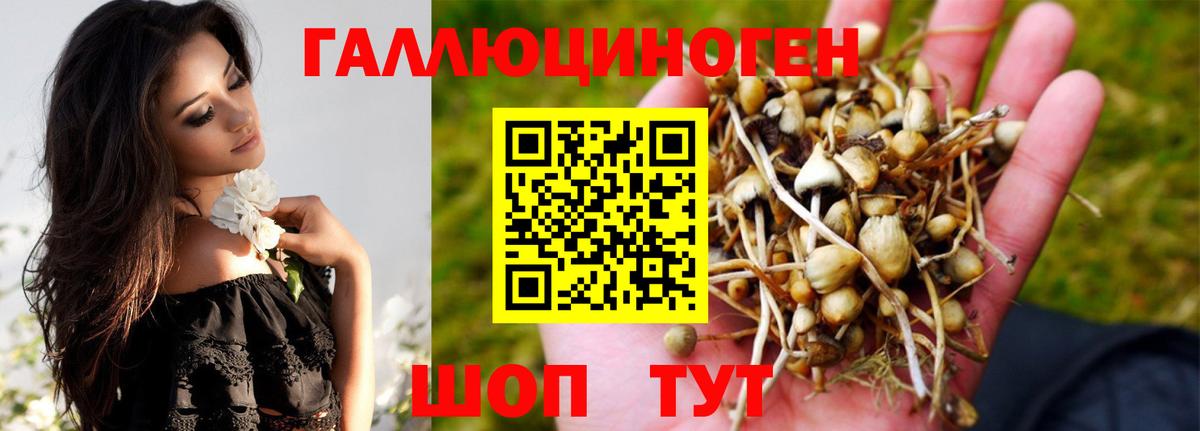 Галлюциногенные грибы ЛСД  Галлюциногенные грибы Psilocybe  Канаш  Вход с VPN 
